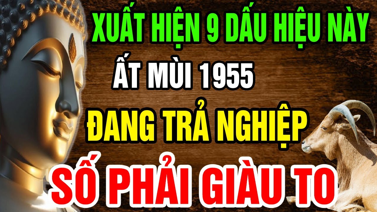 Ất Mùi 1955 Nếu Sau 71 Tuổi Thấy 9 Điều Này Xảy Ra, Có Thể Là Nghiệp Xưa Đang Trổ Quả, Hãy Chú Ý!