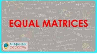 Equal matrices - Matrices - Maths Profile