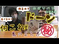 【サクサク】手作り最中を美味しく食べる道産子【ガチレビュー？】
