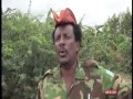 Somali government lauds airstrikes al-Shabaab