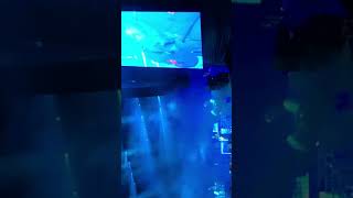 Copenhell 2019 ( Unsainted) slipknot P6