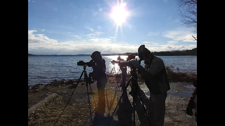 Optics- Choosing scopes and Tripods