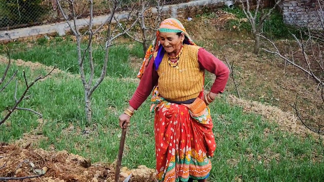 बार पैटियोंन ( a short film ) 