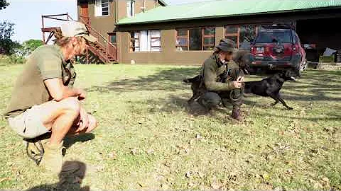 GCF Anti Poaching Mounted and K-9 unit ranger talks about job duties