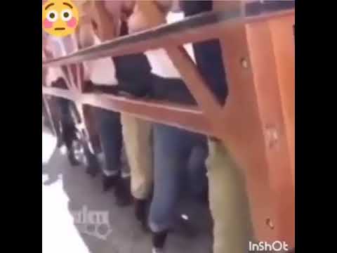 Costalero