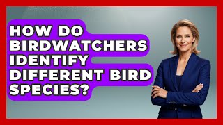 How Do Birdwatchers Identify Different Bird Species | Bird Watching Diaries
