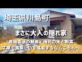 【埼玉グルメ】埼玉県比企郡川島町にて大人の隠れた定食屋に行ってきました!丁寧な接客と美味しい料理で居心地いい時間を過ごすことが出来ました-vlog-