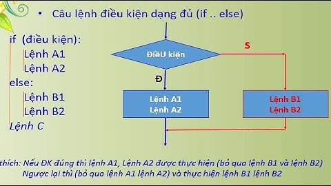 [Cấu trúc rẽ nhánh và câu lệnh điều kiện]. Lập trình Python - Bài 5
