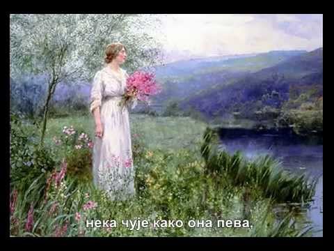 Каћуша- руска песма, превод на српски