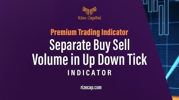 Separate Buy Sell Volume in Up Down Tick - Indicator for NinjaTrader 8