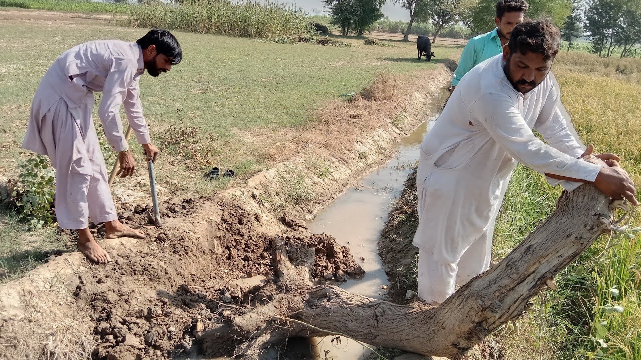 my village toure .first time in pakistan malaysia to .my village style life simple.village life