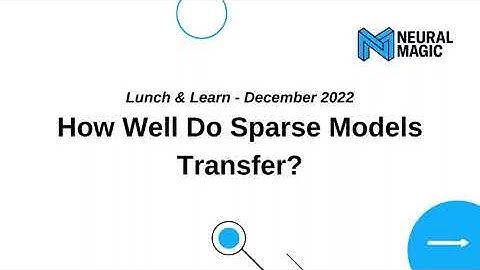 How Well Do Sparse Models Transfer?