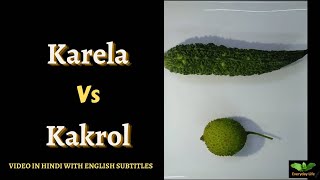 Karela Vs Kakrol | करेला Vs ककरोल | Bitter Gourd Vs Spine Gourd | Everyday Life # 290