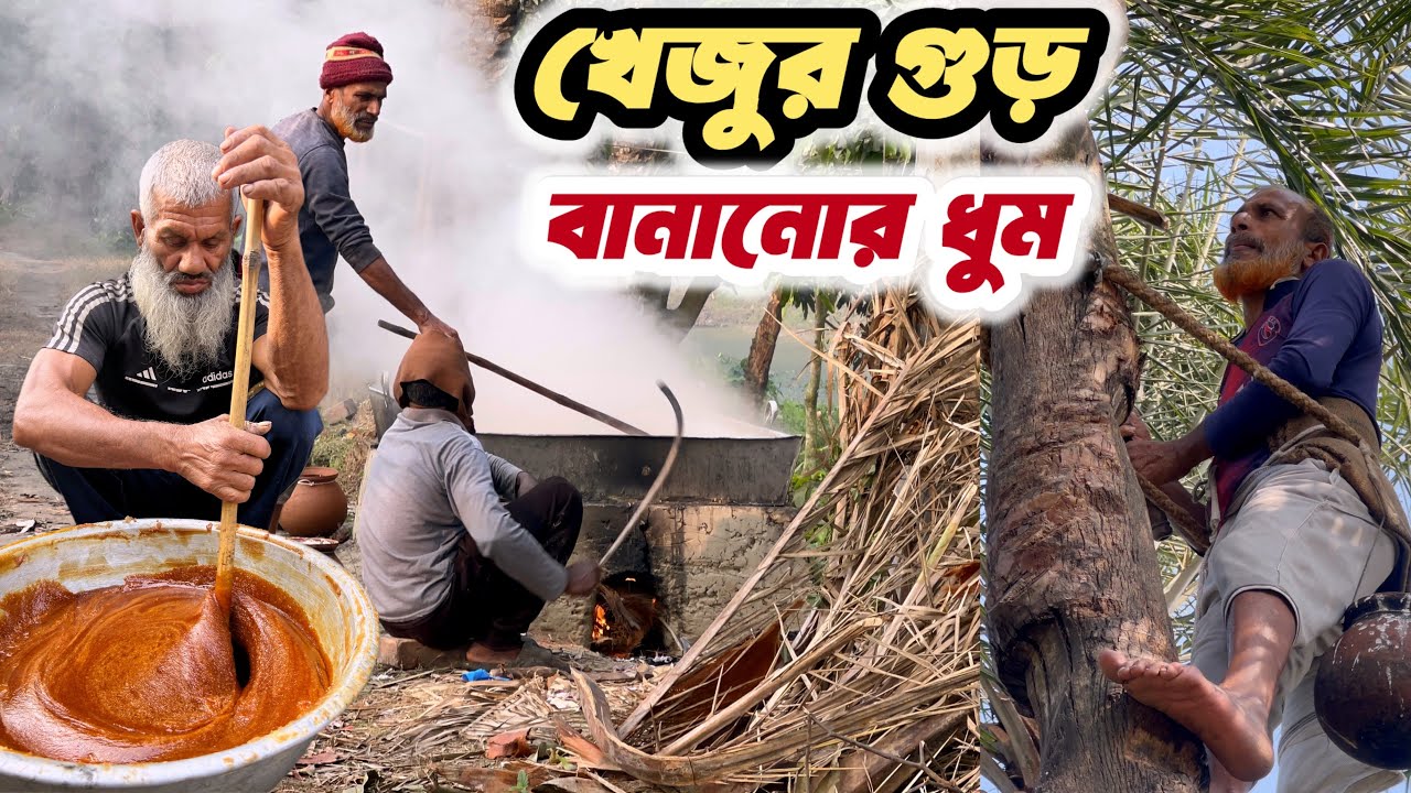 খেজুর গুড় বানানোর ধুম | Winter Morning Date Palm Jaggery Making | Rural Bangladesh Tradition