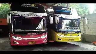 DJ BUS PARIWISATA