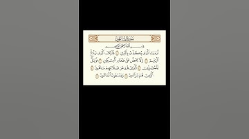 الشيخ علي جابر - سورة الماعون