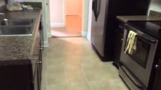 1313 Hill View Cir Hinesville Ga for Rent
