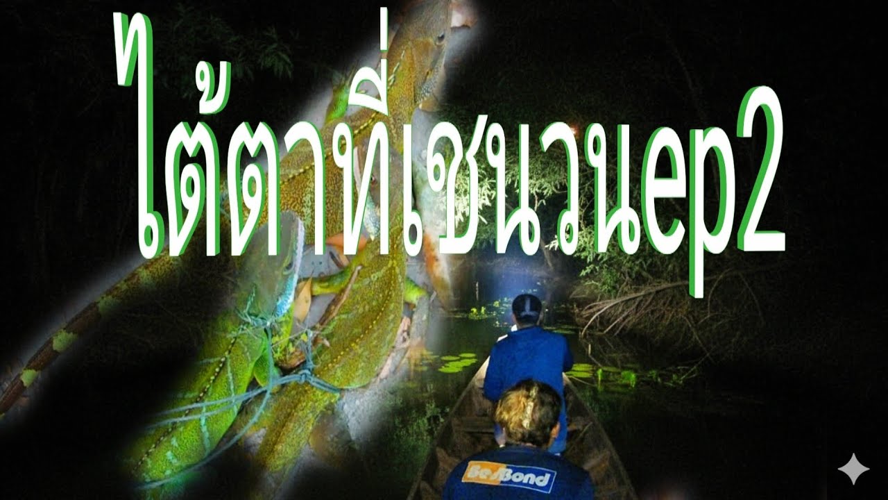 กางมองแล้วล่องเรือไต้ตาต่อ//ກາງມອງແລ້ວລ່ອງເຮືອຳຕ້ຕາຕໍ່//พราน ทองแท่//19.ก.พ.2026