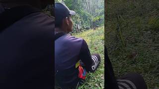Edisi Ngaping