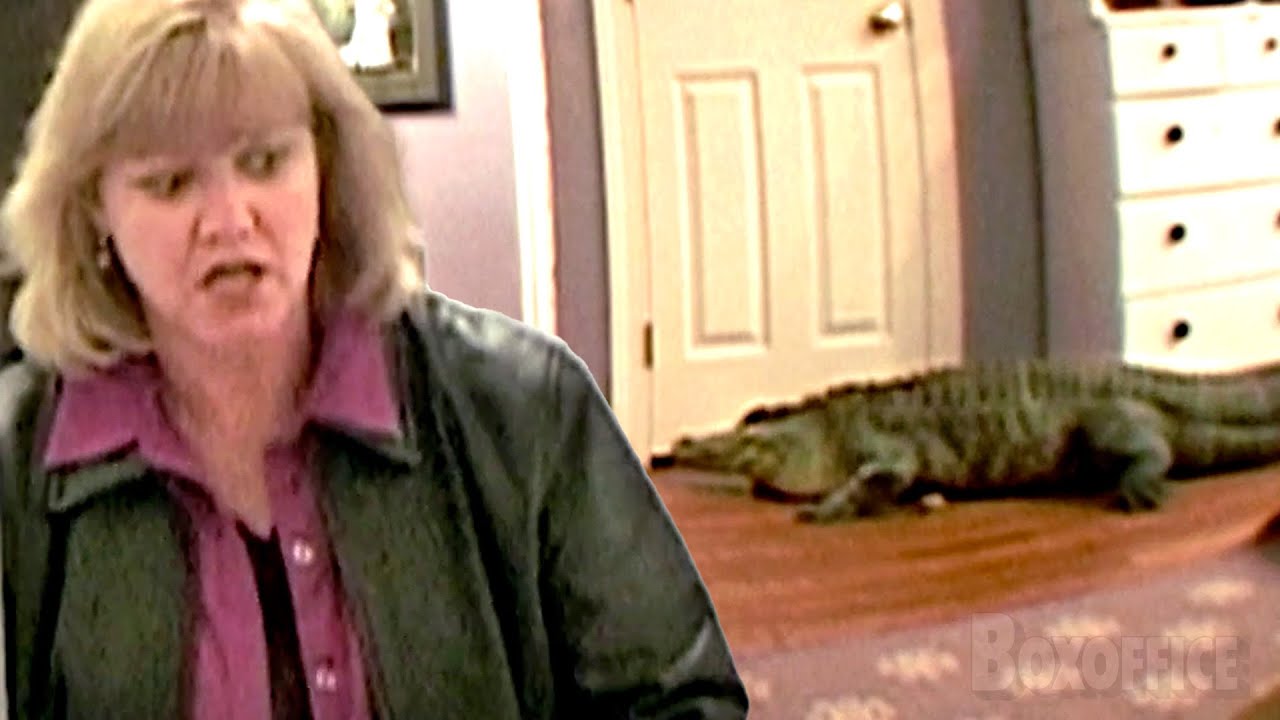 Alligator invades her house Jackass The Movie CLIP YouTube