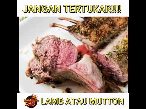 Video: Perbedaan Antara Lamb Dan Mutton