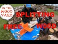 #314 - Splitting Free Firewood!