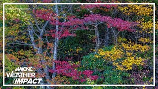 Fall color changes and fall photography