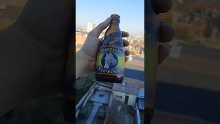 Bassevelds Ezelsbier  Belgian Tripel  9  355 beer shorts beerreview belgium craftbeer be
