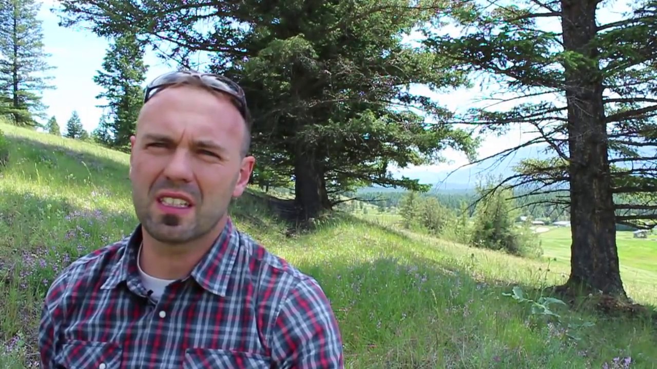 100 Year Swale in a Cold Climate