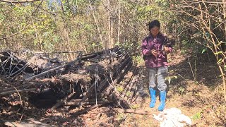 Tau 5 lub xyoos no mam rov ncig txog tej qub tsev teb no twb vau tag lawm os 19 /1/2025