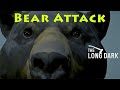 Amazing Survival Game - The Long Dark