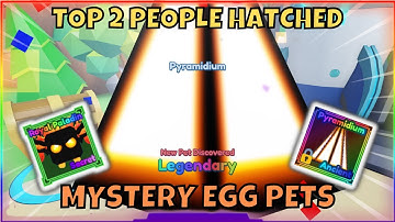 TOP 2 People Hatched *NEW* Mystery Egg Secrets ON CAMERA! PYRAMIDIUM, PALADIN | Mining Simulator 2