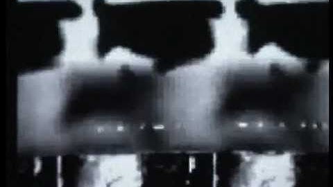 Information/Christian Falch: Taiga