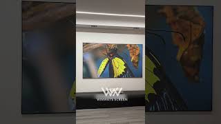 The Winways FK-100 Fresnel Screen delivers clear, high-contrast images even in bright rooms ☀️