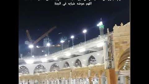 تلاوه القرآن بصوت الشهيد هشام الحمادي