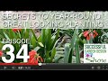 GDS34 -  Great looking planting secrets