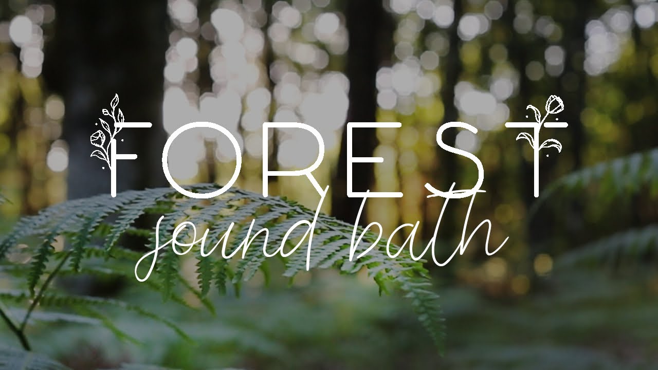 Treelaxation - Forest Sound Bath - Experience the healing power of ...