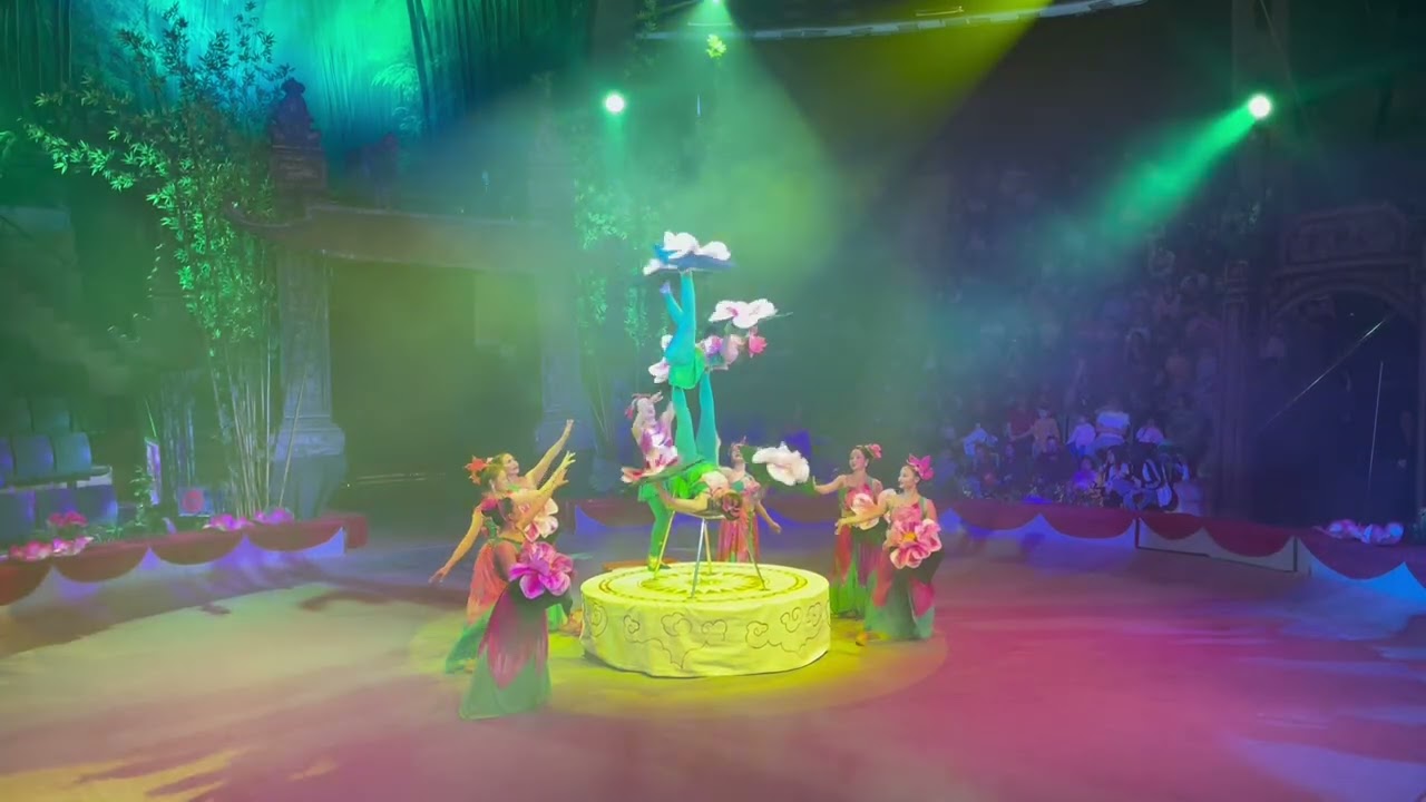 Chơi cùng con. Cùng con đi xem xiếc.