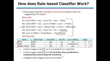 5. Classification: Technique (Rule Based Classifier Part-I)