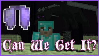 I Just Wanna Fly - Looking for an Elytra