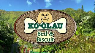 Tour of Koolau Bed and Biscuit