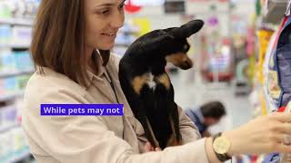Pet home improvements!