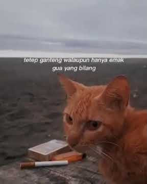 STORY WA KEREN KATA KEKINIAN//STATUS WHATSAPP TERBARU 2022 #storywa#storywaviral#sultanstory