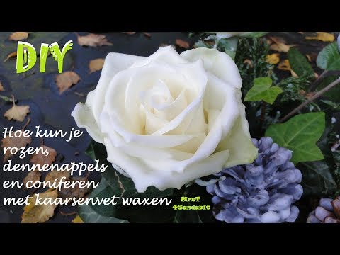 DIY rozen, dennenappels en coniferen waxen I Gewaxte dennenappels voor kerststukje DekoideenLand