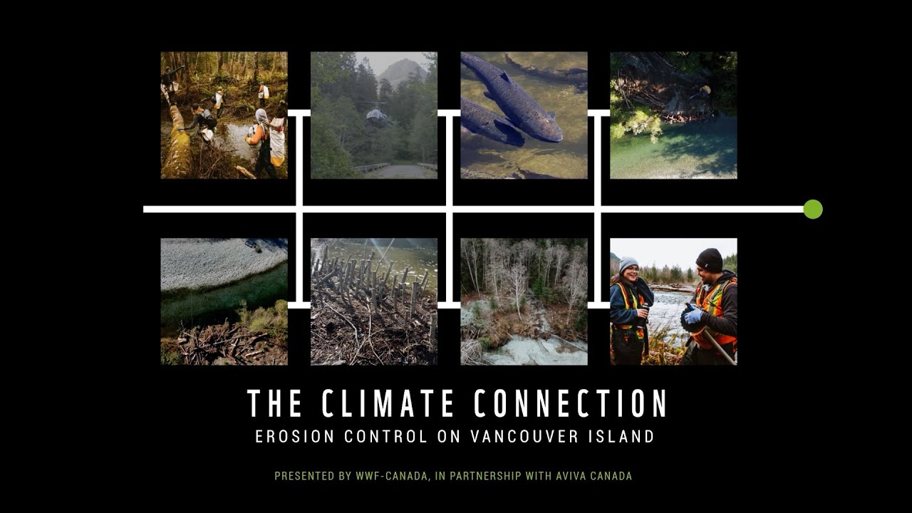 Climate Connection The Climate Connection | Episode 5: Redd Fish Restoration - YouTube