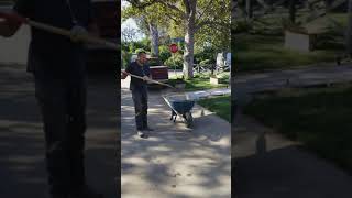 Valley village ca