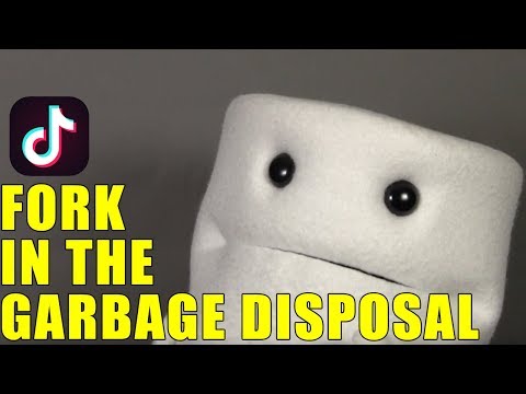 LET'S DO THE FORK IN THE GARBAGE DISPOSAL Dramatic Reading of a TikTok Meme Toiley T Paper