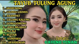 GENDING JAWA TERLARIS TAYUB TULUNG AGUNG GAYENG BANGET KANGGE KONCO MAKARYO 💝🇮🇩