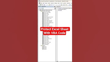 Lock Excel Sheet Fast! VBA Protection Hack!