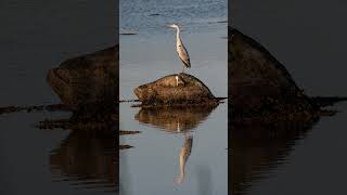 Denmarks MOST BEAUTIFUL island - Samsoe - Watch photos HERE